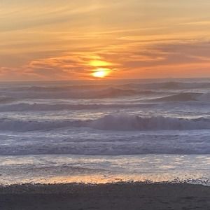 Meet your Posher, Phil